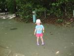 IMG_1081.JPG