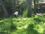 IMG_1086.JPG
