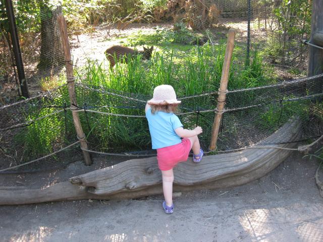 IMG_1087.JPG