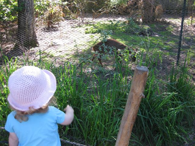 IMG_1090.JPG