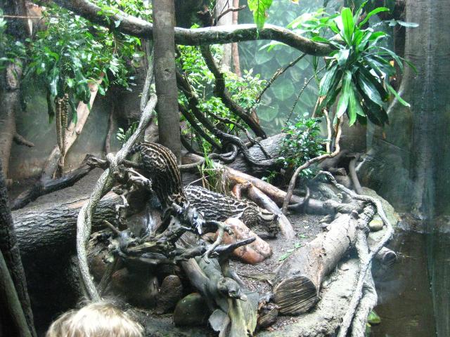 IMG_1148.JPG