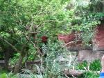 IMG_1155.JPG