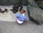 IMG_1167.JPG