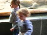 IMG_1172.JPG