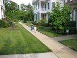 IMG_1211.JPG