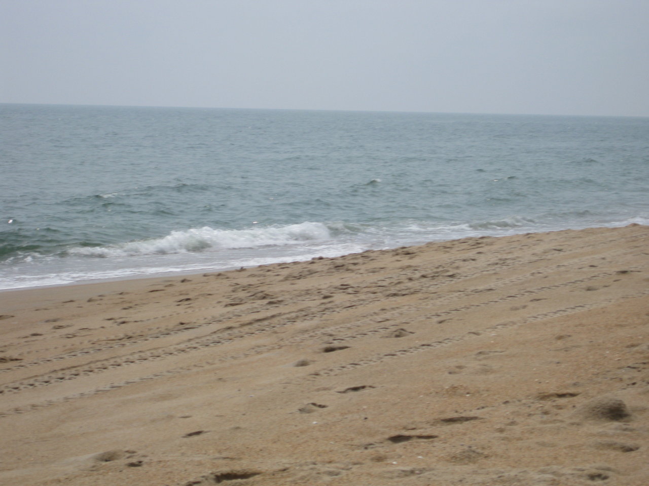 IMG_1240.JPG