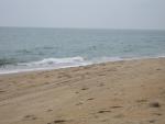 IMG_1240.JPG