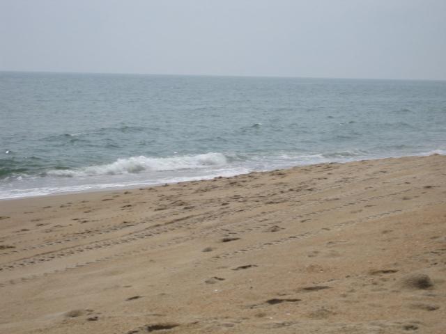 IMG_1240.JPG
