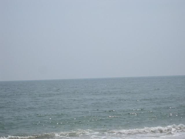 IMG_1241.JPG