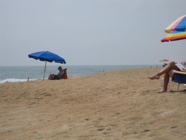 IMG_1242.JPG