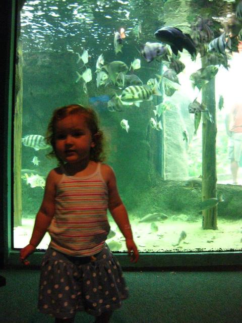 IMG_1260.JPG