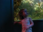 IMG_1261.JPG