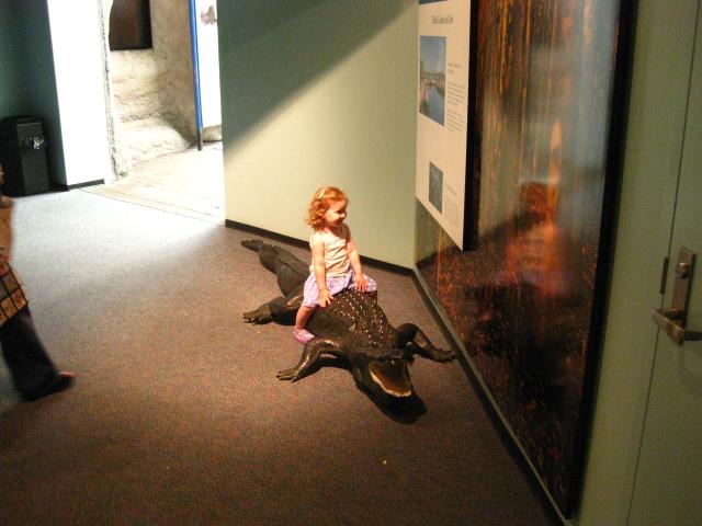IMG_1262.JPG
