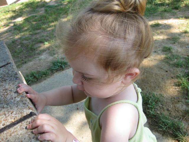 IMG_1320.JPG