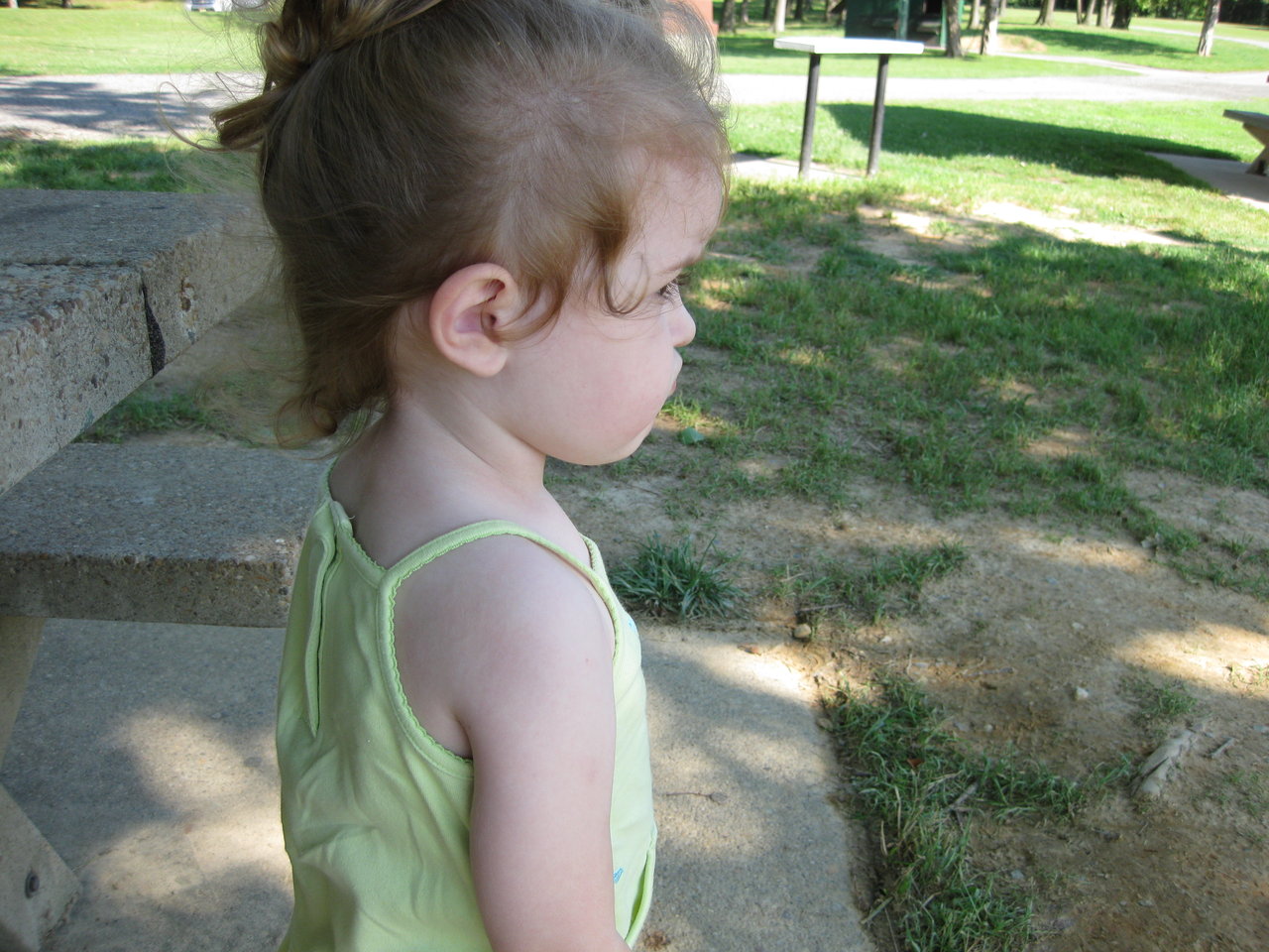 IMG_1321.JPG