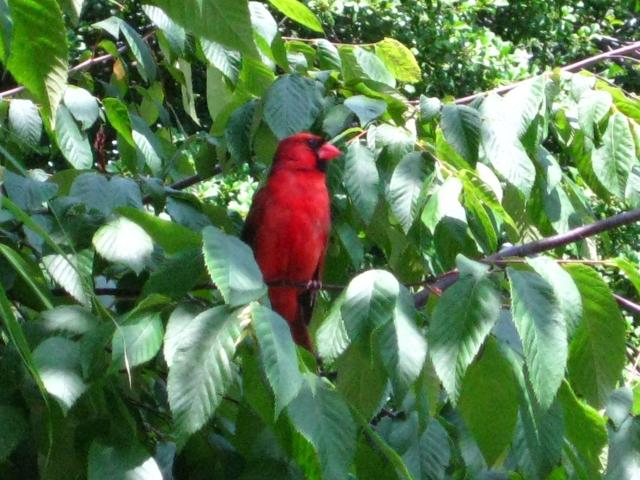 IMG_1343.JPG
