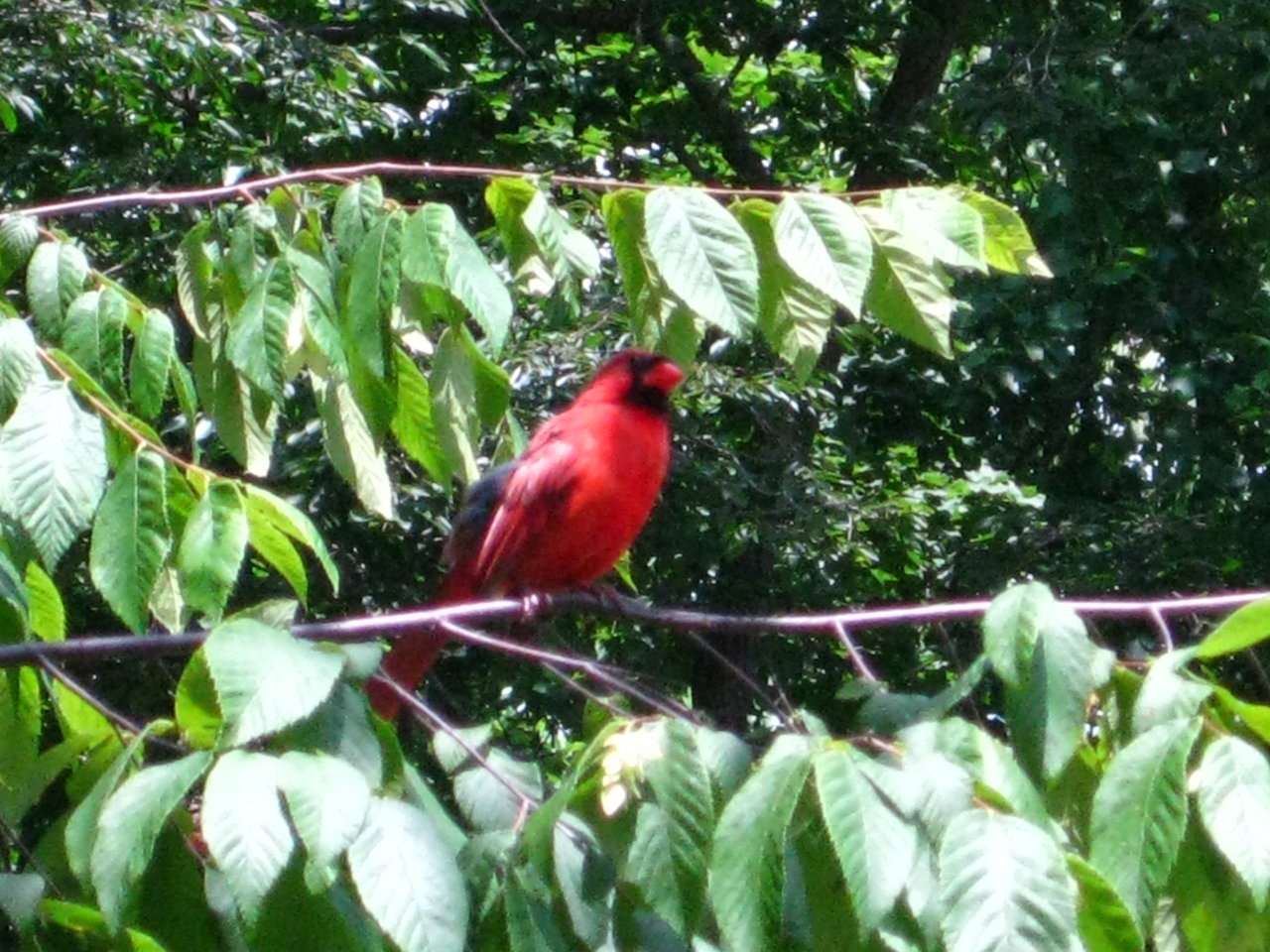 IMG_1344.JPG