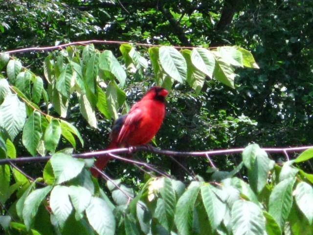 IMG_1344.JPG