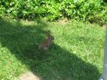 IMG_1352.JPG