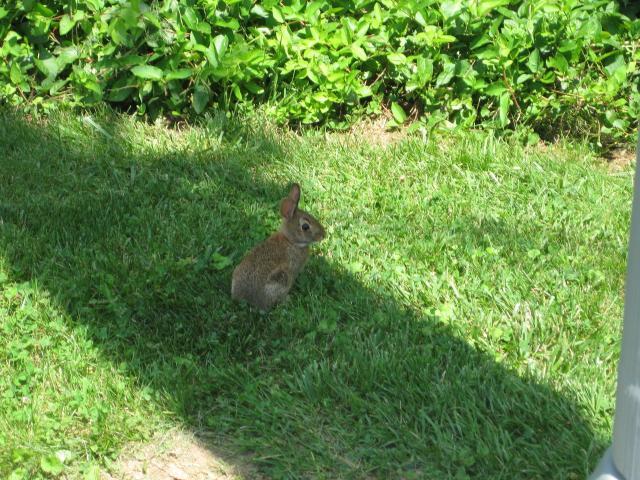 IMG_1352.JPG