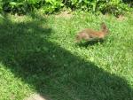 IMG_1353.JPG