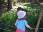 Seattle Zoo