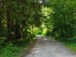 The road off of highway 2