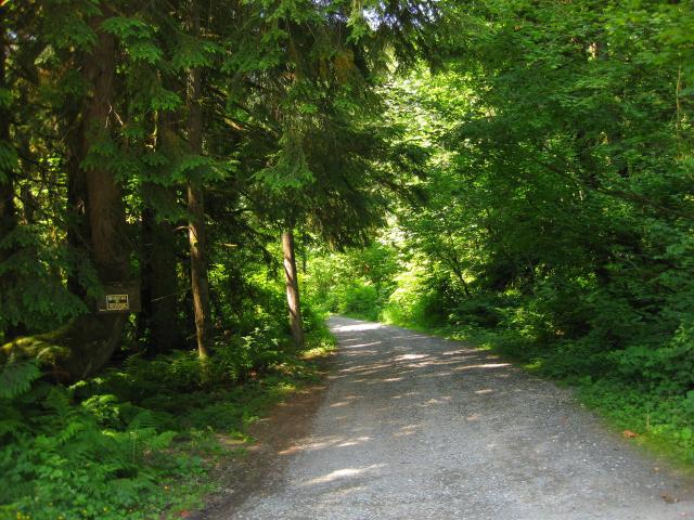 The road off of highway 2
