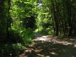 Our road