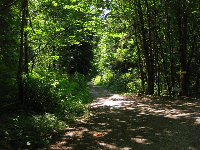 Our road