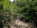 More dry riverbed