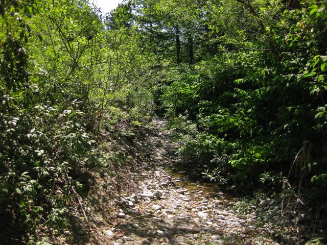 More dry riverbed