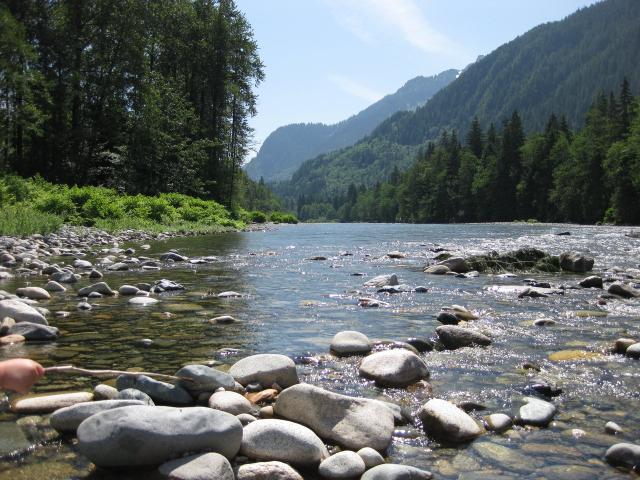 IMG_1380.JPG