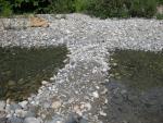 A little bridge someone made across the creek