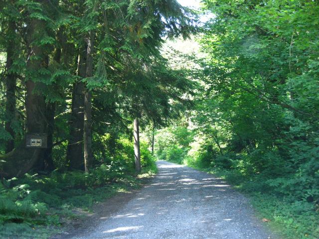 IMG_0447.JPG