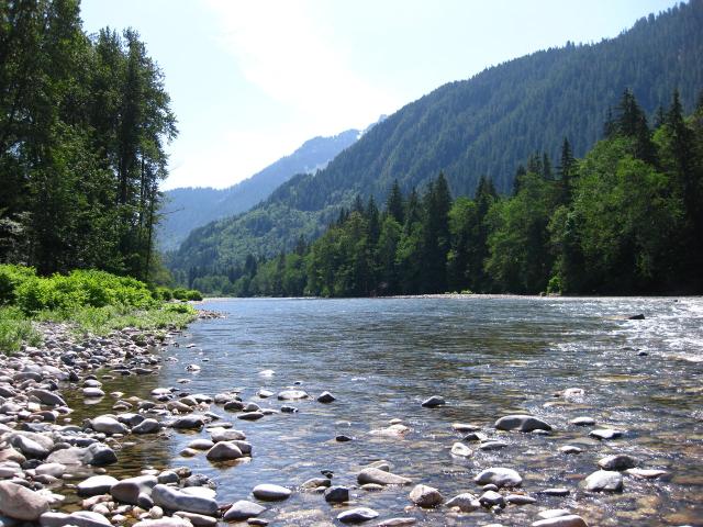 IMG_0454.JPG