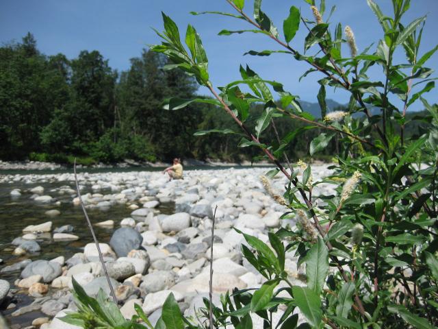 IMG_0459.JPG