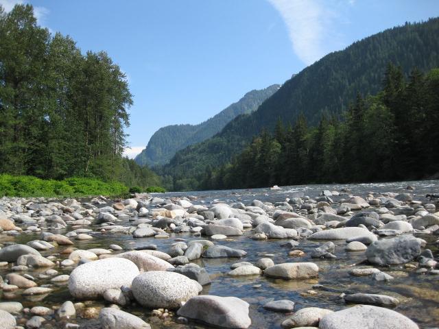 IMG_0475.JPG