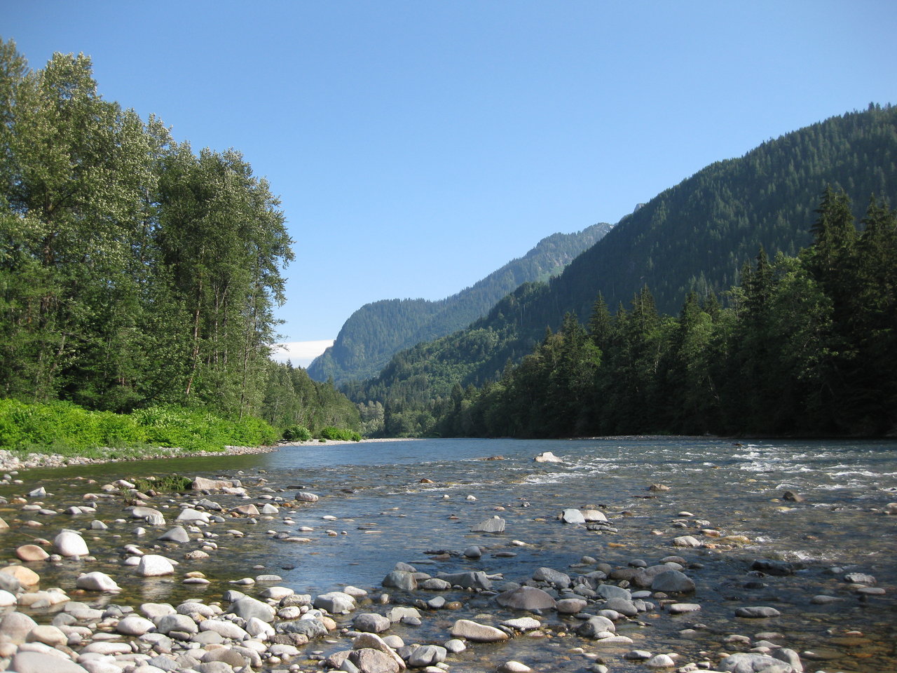 IMG_0484.JPG