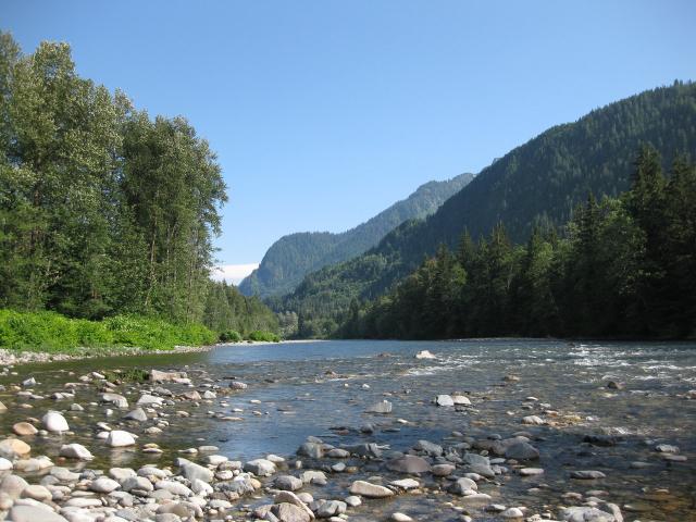 IMG_0484.JPG