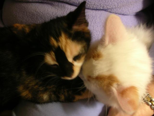 DSCN4340.jpg