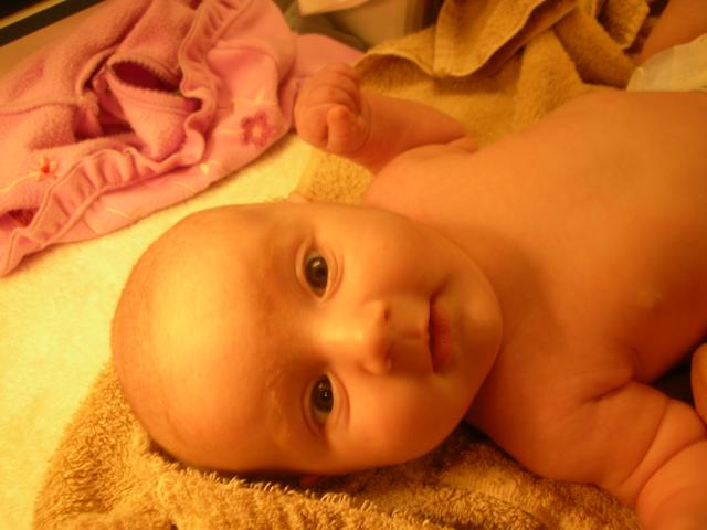DSCN4381.jpg