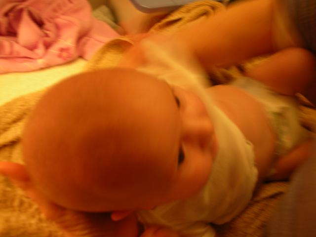 DSCN4383.jpg