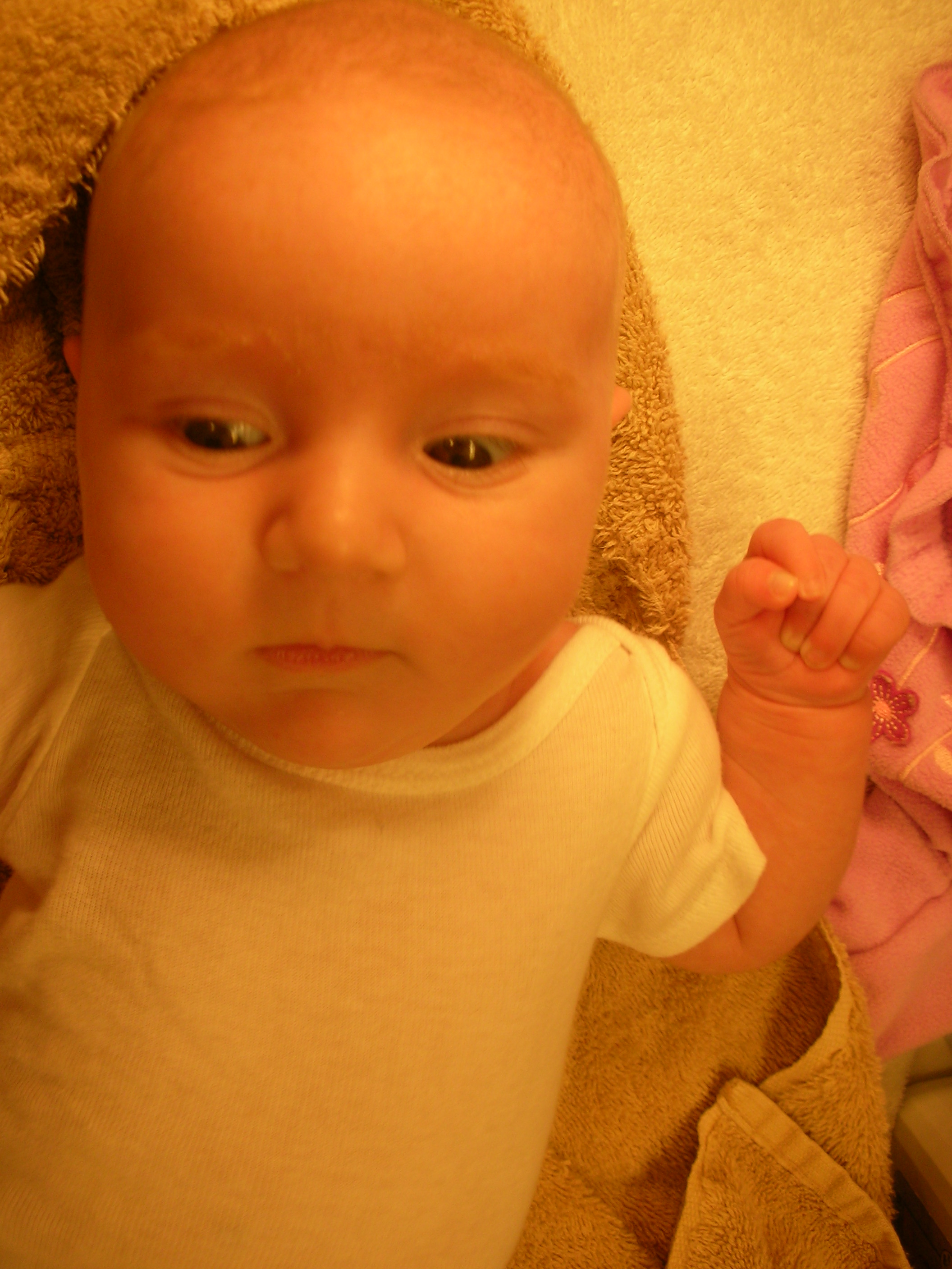DSCN4384.jpg