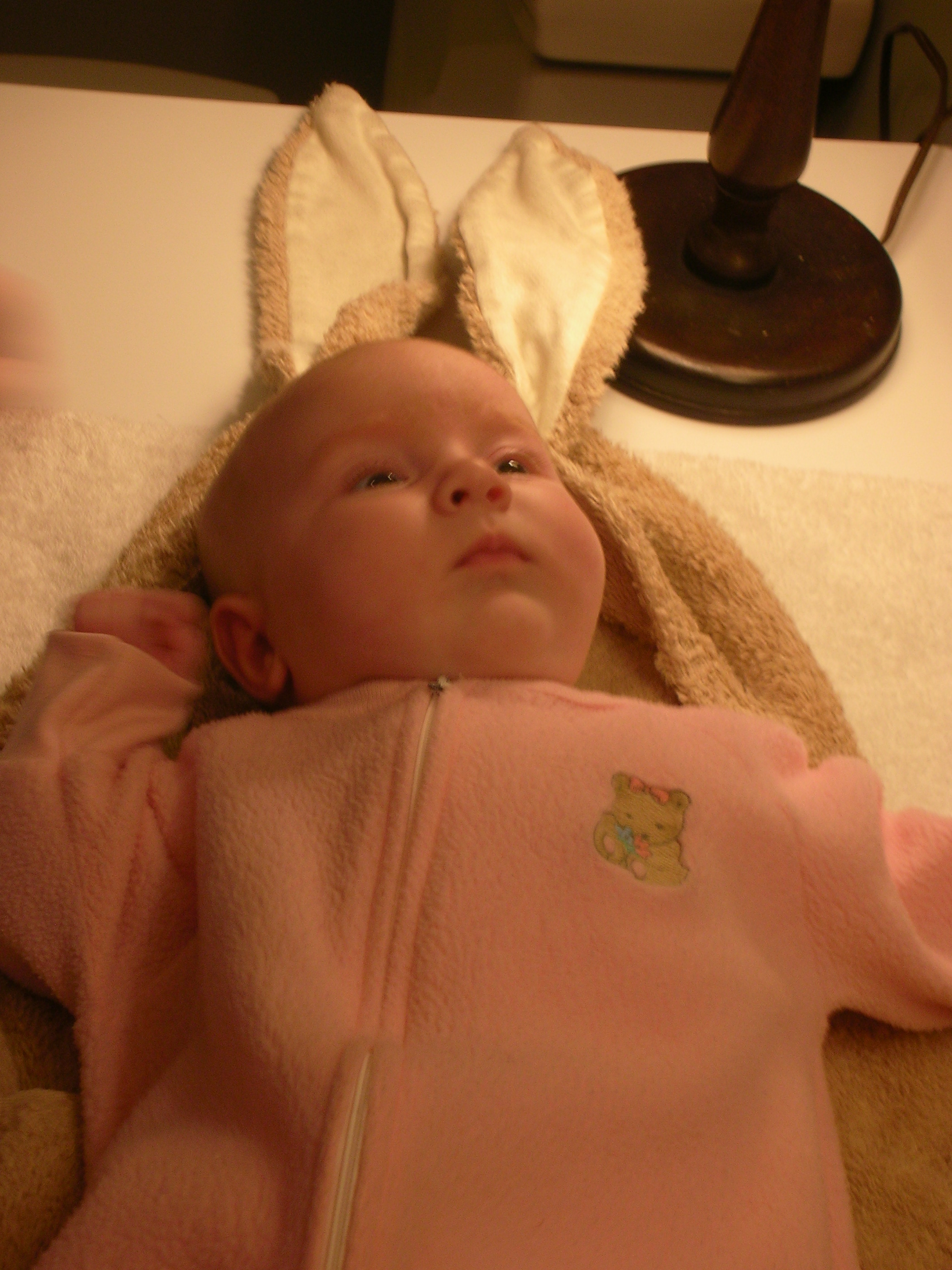 DSCN4389.jpg