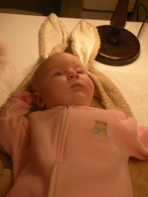 DSCN4389.jpg