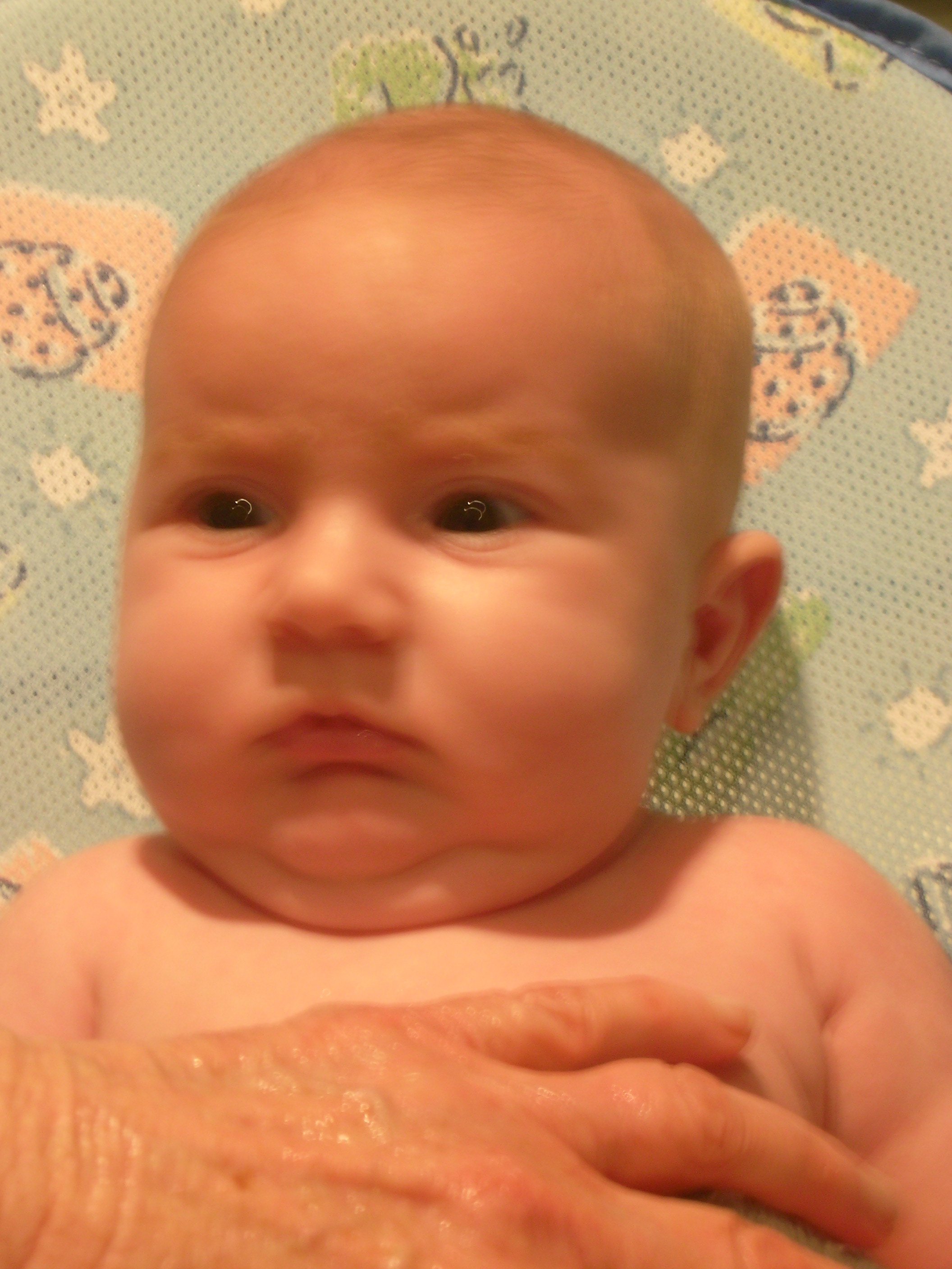 DSCN4442.jpg