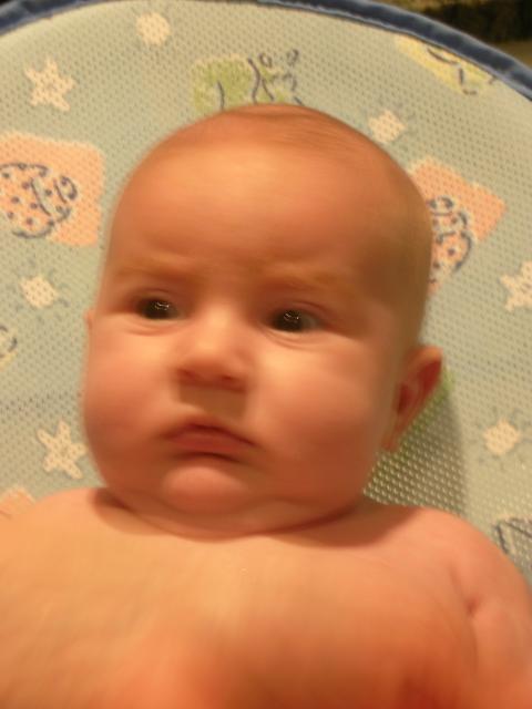 DSCN4443.jpg