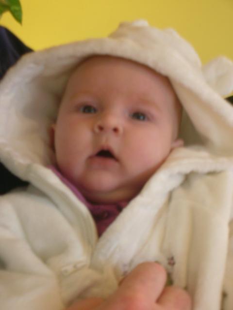 DSCN4508.jpg