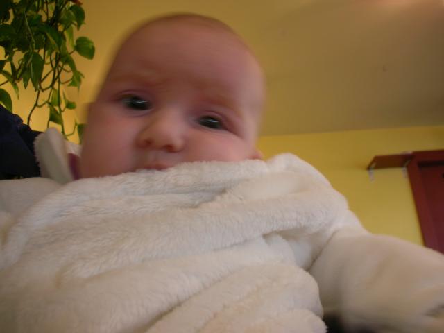 DSCN4512.jpg